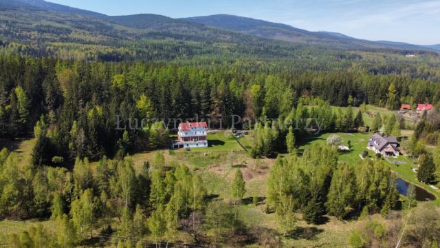 dom wolnostojący, 13 pokoi Borowice. Zdjęcie 1