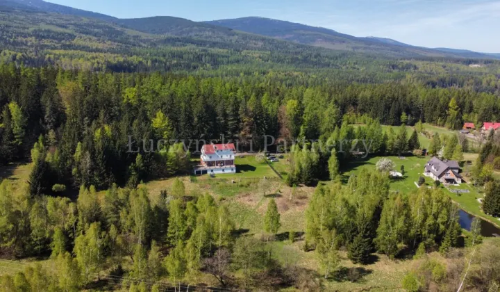 dom wolnostojący, 13 pokoi Borowice