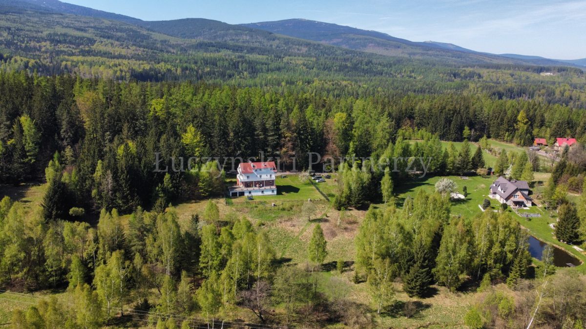 dom wolnostojący, 13 pokoi Borowice. Zdjęcie 1