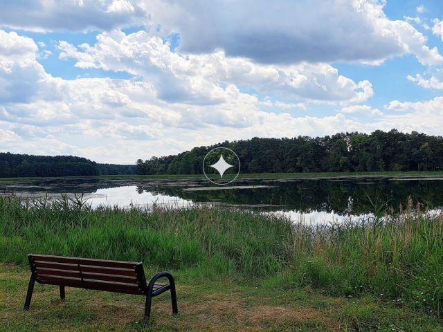 dom wolnostojący, 4 pokoje Kurki. Zdjęcie 4