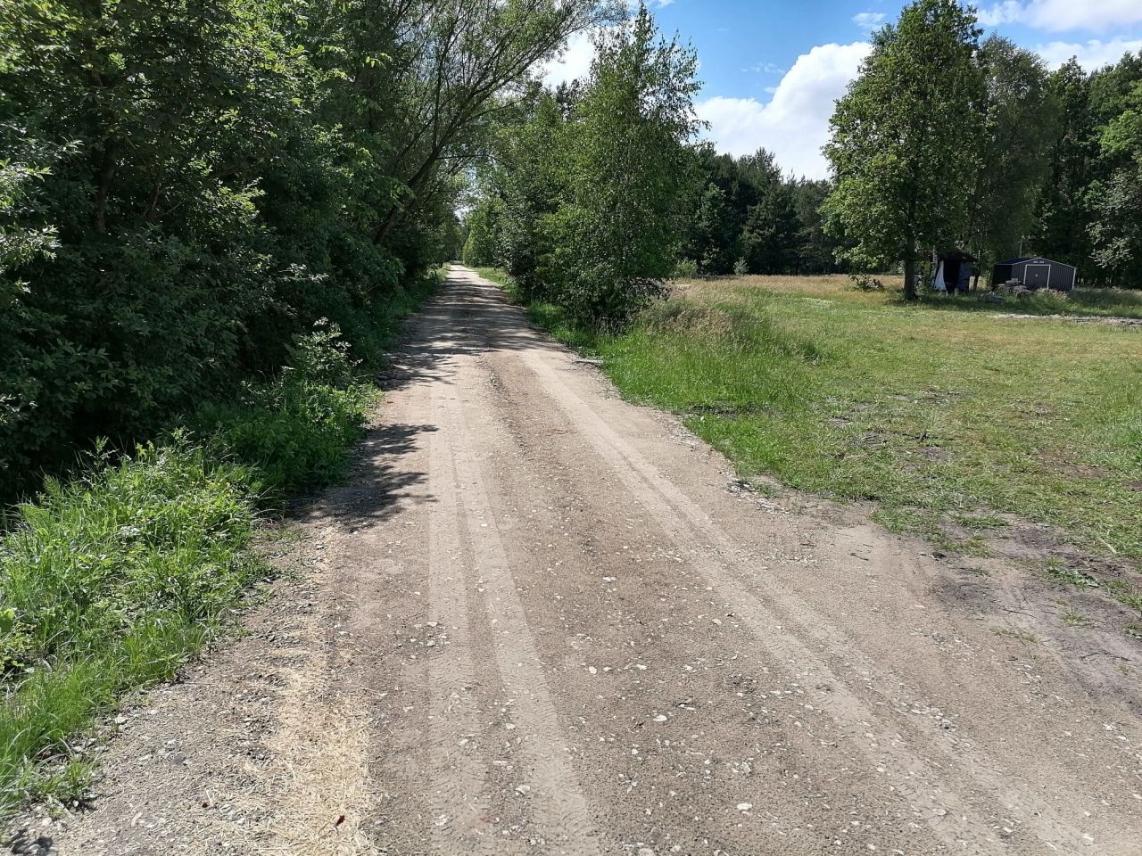 Działka rolno-budowlana Rzewuszyce. Zdjęcie 7