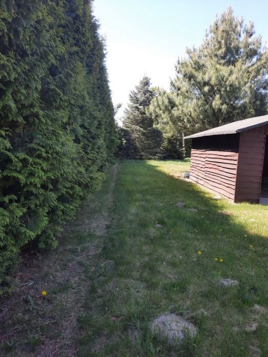 Działka rolno-budowlana Janowice. Zdjęcie 7