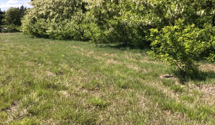 Działka rekreacyjna Rzechta