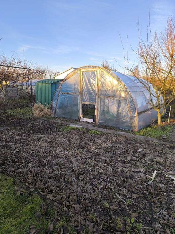 Działka rod Pełczyce, ul. Łąkowa. Zdjęcie 3