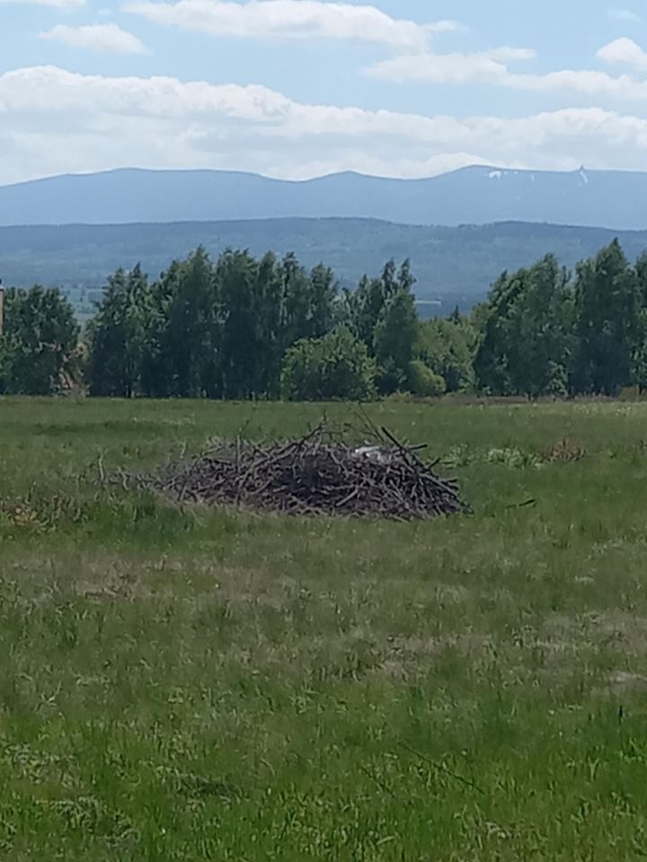 Działka rolno-budowlana Grudza. Zdjęcie 6