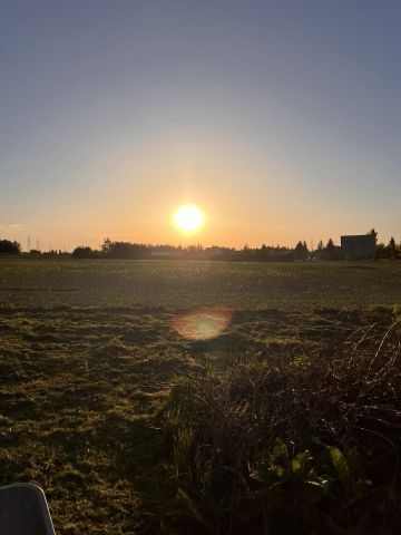Działka rolno-budowlana Płoskie Płoskie Drugie. Zdjęcie 1
