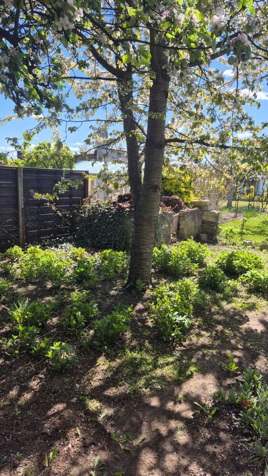 Działka rod Leszno Grzybowo, ul. Osiecka. Zdjęcie 6