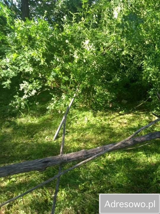 Działka rod Kielce. Zdjęcie 3