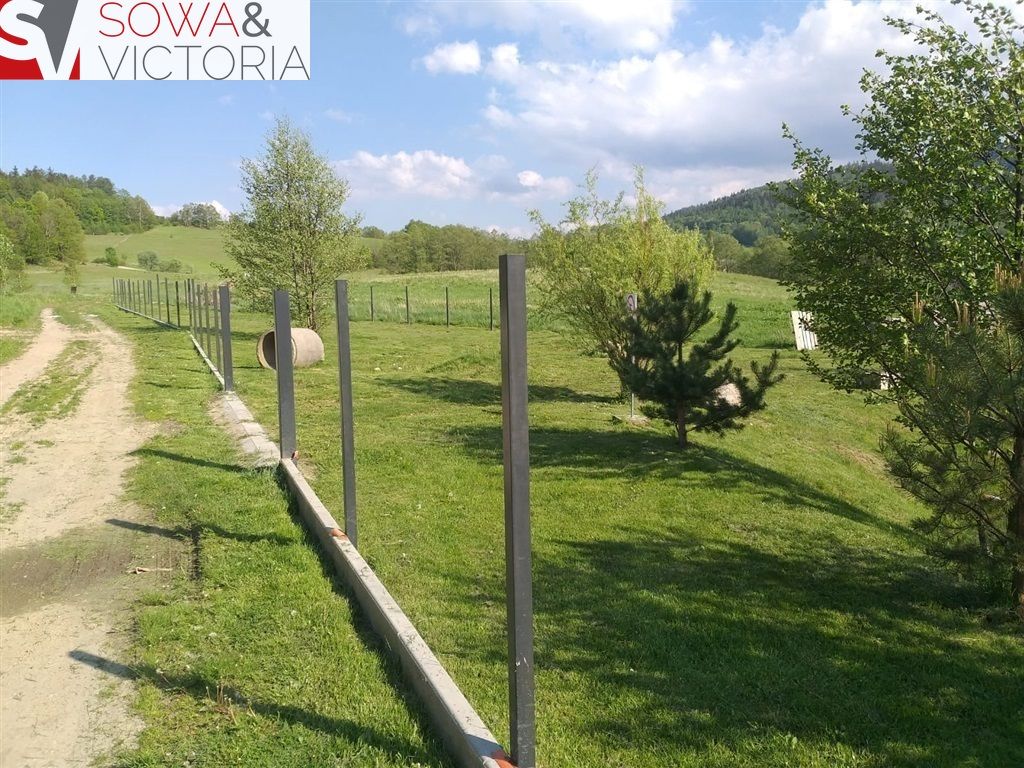 Działka Sosnówka. Zdjęcie 5