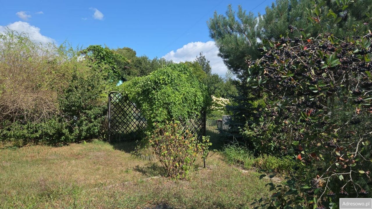 Działka rod Kędzierzyn-Koźle Kuźniczka, ul. Grunwaldzka. Zdjęcie 5