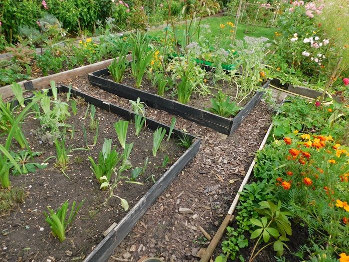 Działka rod Koszalin Jamno, ul. Aleja Europejska. Zdjęcie 1