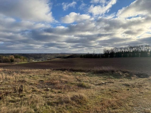 Działka budowlana Borzestowo. Zdjęcie 1