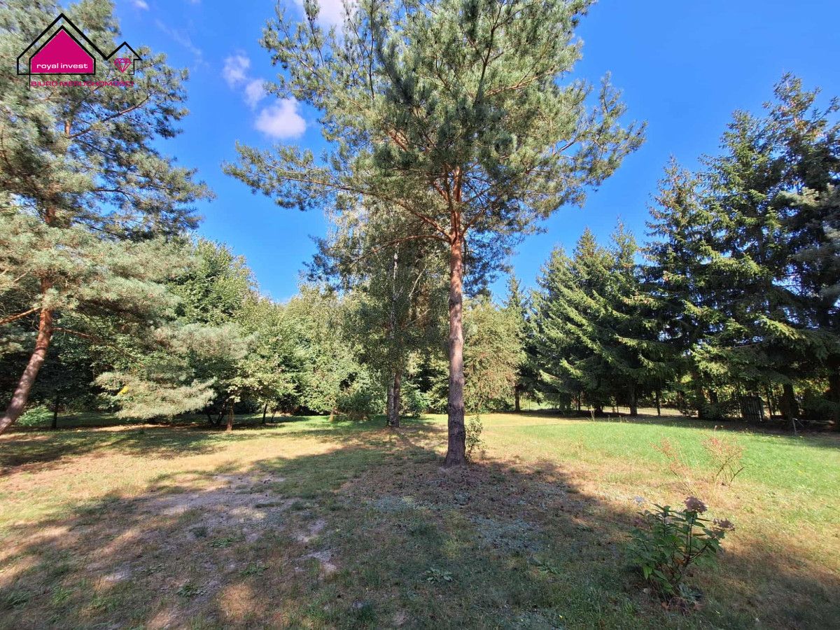 Działka rekreacyjna Cegielnia. Zdjęcie 10