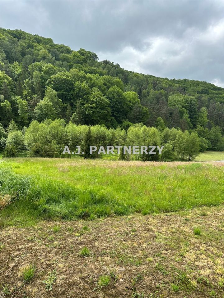 Działka budowlana Cichawka. Zdjęcie 1