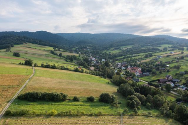 Działka inwestycyjna Bukowiec. Zdjęcie 1