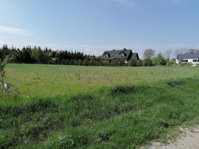 Działka budowlana Budziszewko. Zdjęcie 1