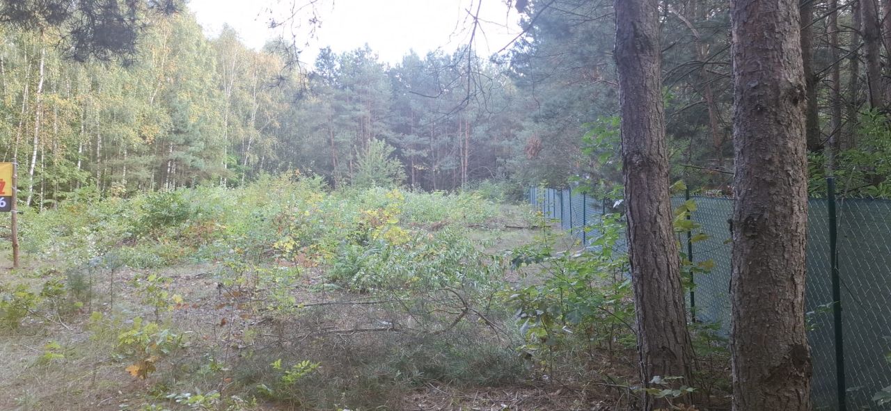 Działka rolno-budowlana Andzin. Zdjęcie 4