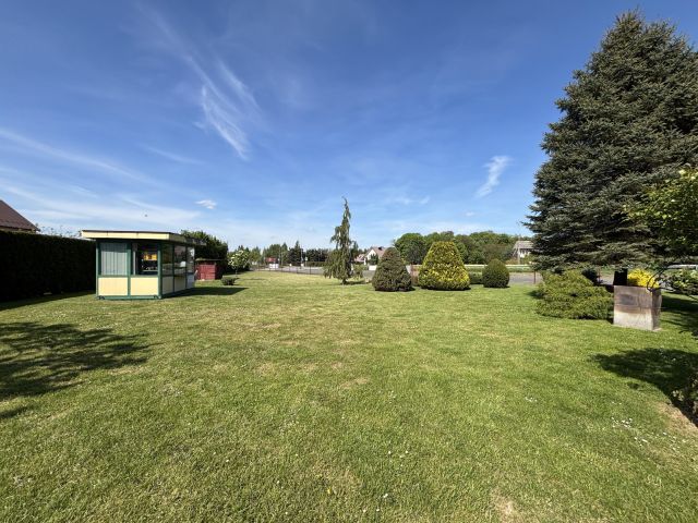 Nieruchomość komercyjna Sadowie Jacentów. Zdjęcie 13