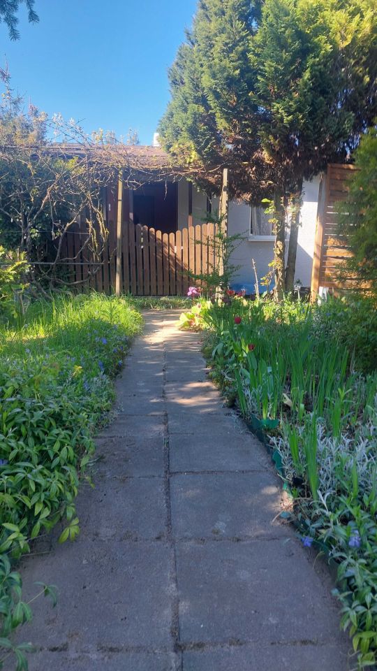 Działka rod Glinka Duchowna. Zdjęcie 5