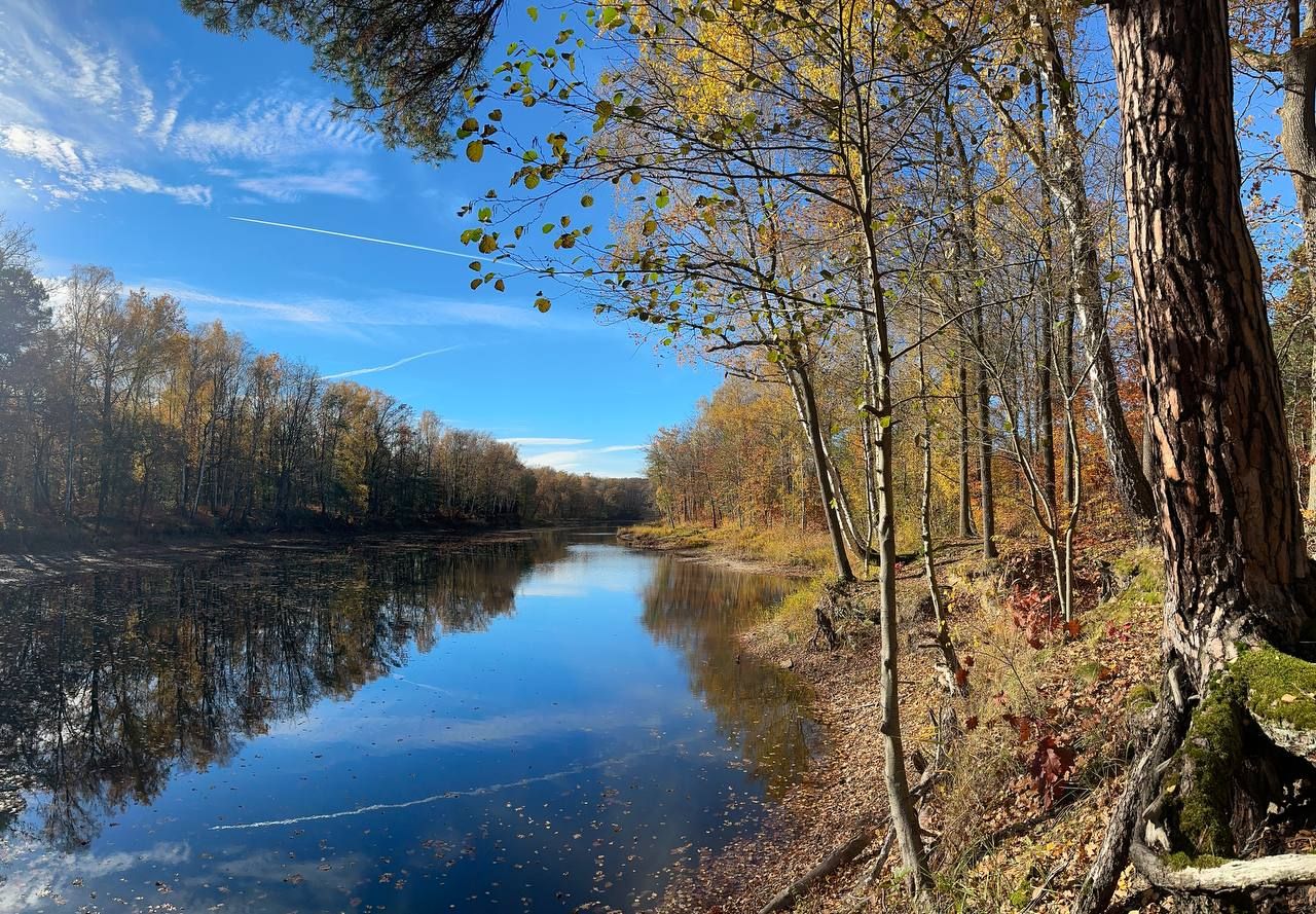 Działka budowlana Chełmica. Zdjęcie 4