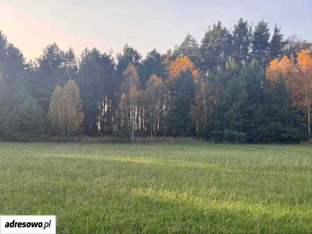 Działka budowlana Chojeczno-Cesarze. Zdjęcie 1