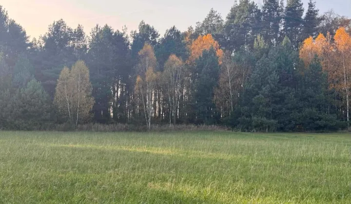 Działka budowlana Chojeczno-Cesarze
