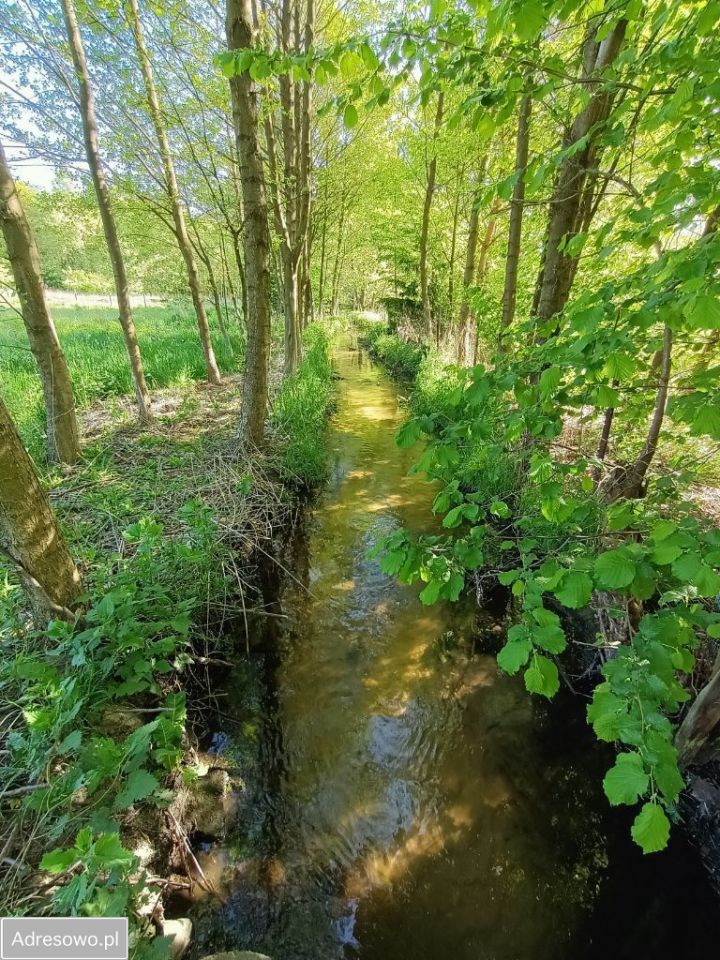 Działka Stara Wieś. Zdjęcie 11