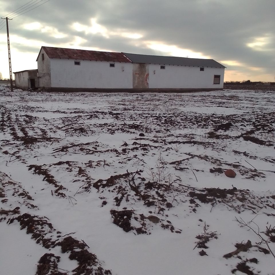 Hala/magazyn Wojtówka. Zdjęcie 2