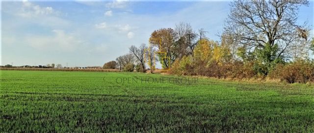 Działka budowlana Mnichowice. Zdjęcie 2