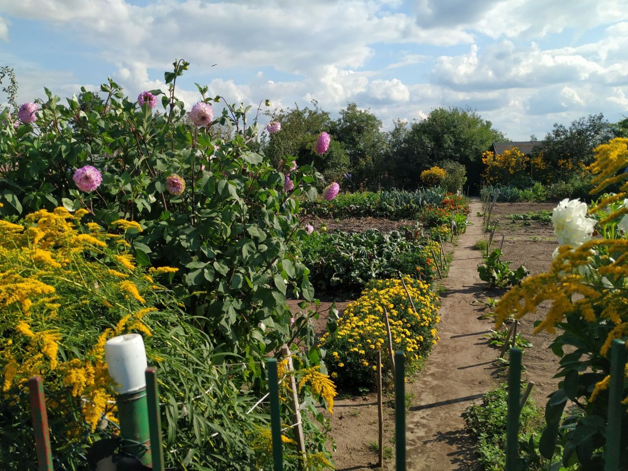 Działka rekreacyjna Czarne, ul. Leśna
