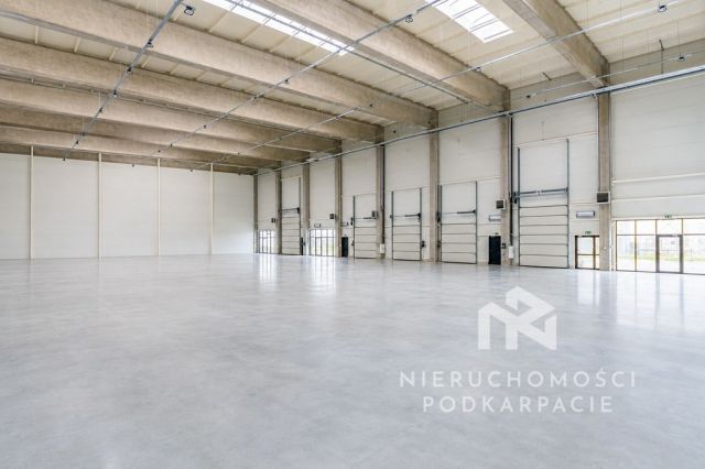 Hala/magazyn Rzeszów Dworzysko. Zdjęcie 33