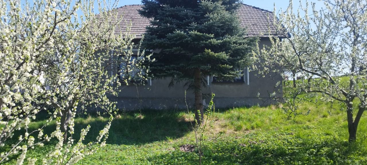 dom wolnostojący, 2 pokoje Łany Wielkie Zakościele. Zdjęcie 6