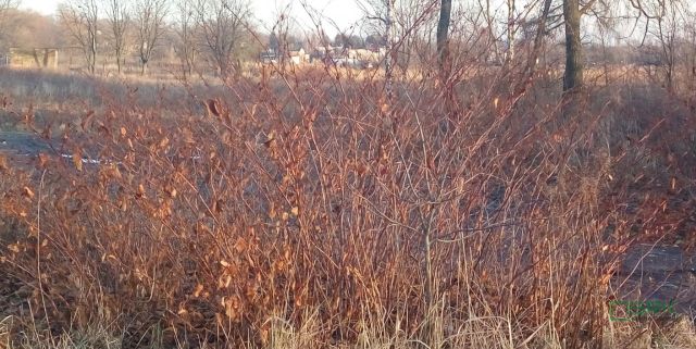 Działka inna Sosnowiec, ul. Wagowa. Zdjęcie 6