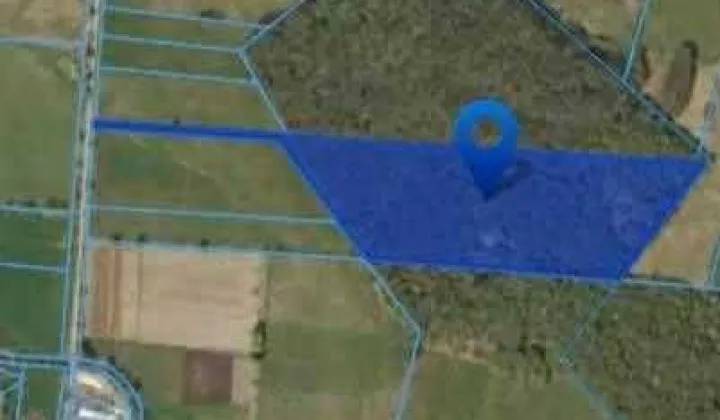 Działka leśna Nidzgora