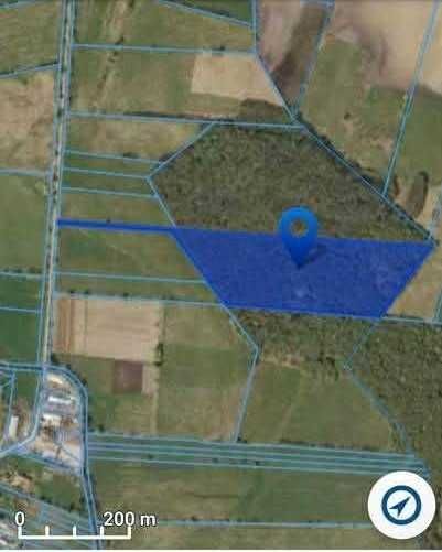 Działka leśna Nidzgora. Zdjęcie 1