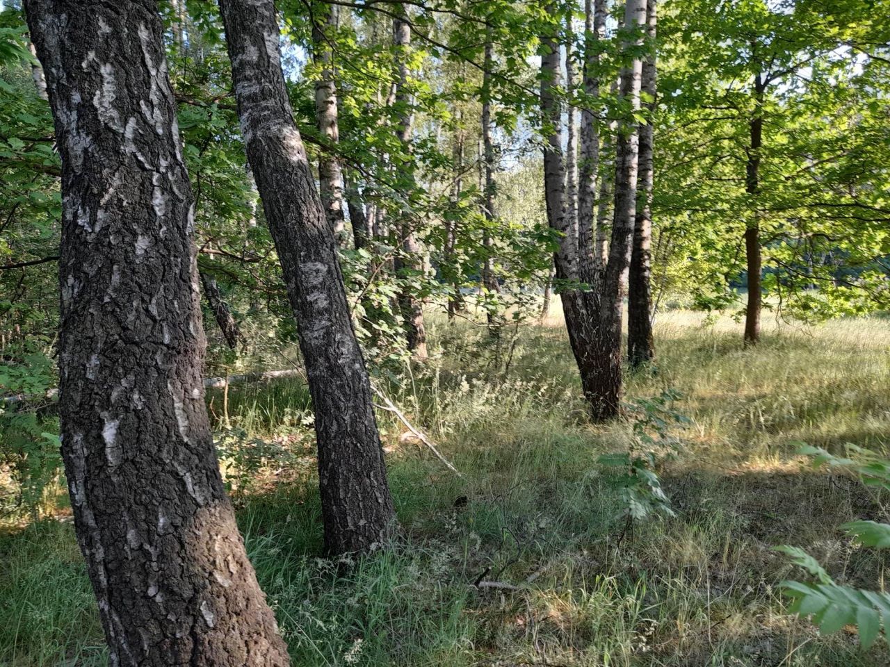Działka budowlana Kaleń, ul. Morelowa. Zdjęcie 2