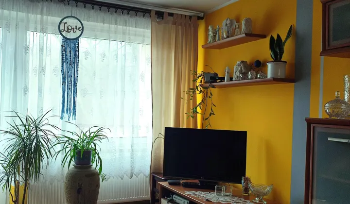 Mieszkanie 3-pokojowe Nowe Jankowice