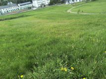 Działka budowlana Lipowa. Zdjęcie 3