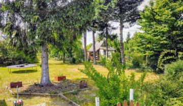 Działka rod Żary, ul. Serbska