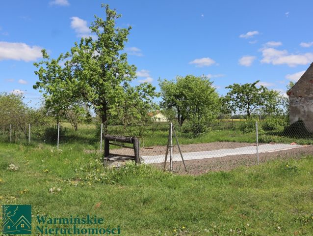 bliźniak Wirwilty. Zdjęcie 8