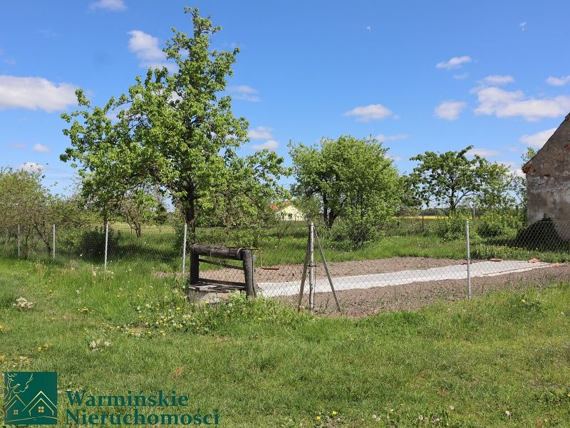 bliźniak Wirwilty. Zdjęcie 8