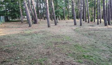 Działka leśna Gąski