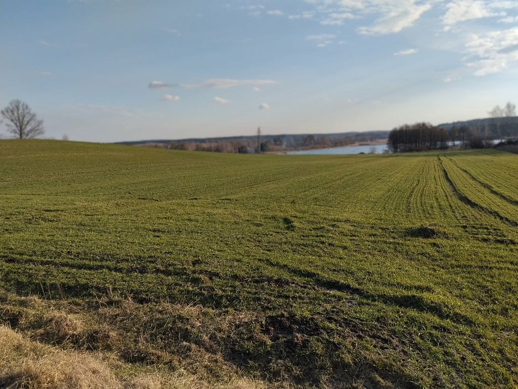 Działka budowlana Nowa Wioska. Zdjęcie 7