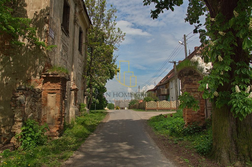 Działka inwestycyjna Wojciechów. Zdjęcie 6