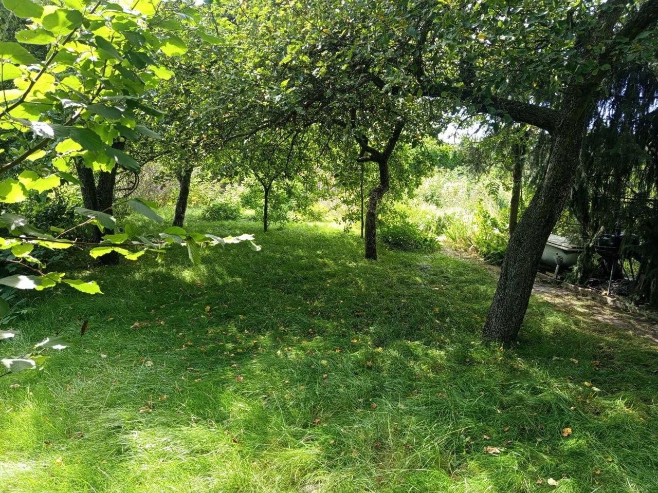 Działka rod Ruda Śląska Kochłowice. Zdjęcie 2