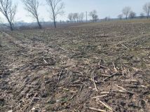 Działka rolno-budowlana Krążkowo. Zdjęcie 2