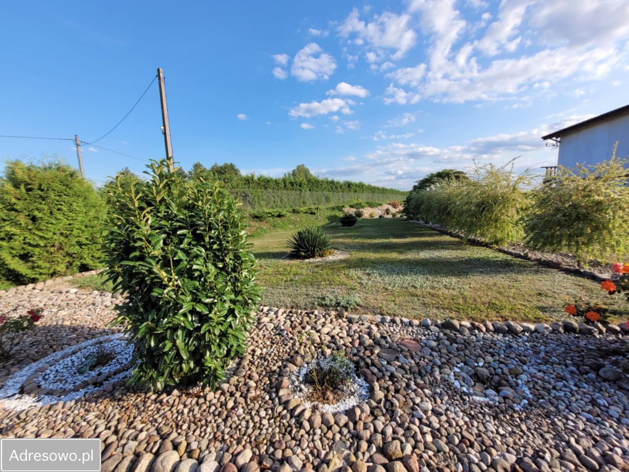 dom wolnostojący, 4 pokoje Teodorowo. Zdjęcie 3