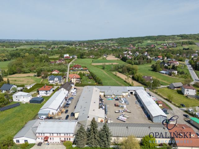 Biuro Lubenia. Zdjęcie 12