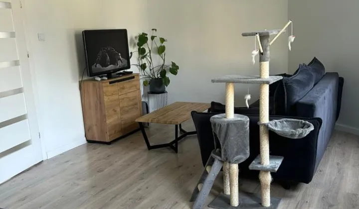 Mieszkanie 2-pokojowe Sulęcin, ul. Tadeusza Kościuszki