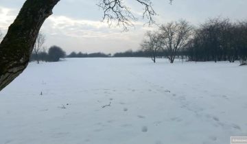 dom wolnostojący, 4 pokoje Kobierniki